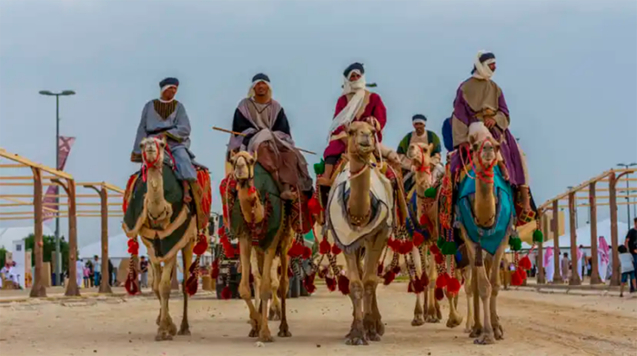 Camellos desfilan en un concurso de belleza anterior. Foto: tomada de miviaje.com.