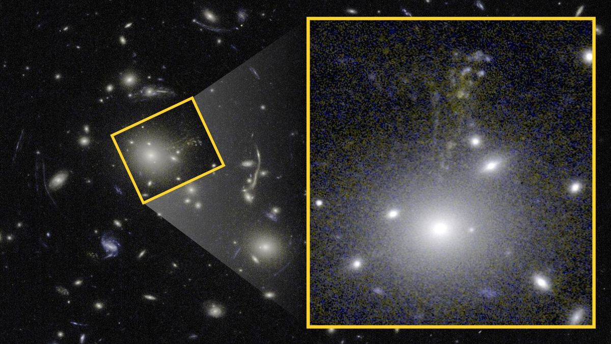 Acercamiento a la imagen del 'Caballito de mar cósmico' tomada en luz visible e infrarrojo cercano. Foto: Hubble