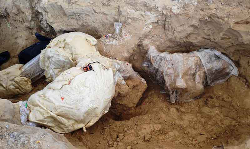 Las piezas óseas del mamut fueron trasladadas a los laboratorios del Centro INAH Puebla. Foto: EFE / Instituto Nacional de Antropología e Historia