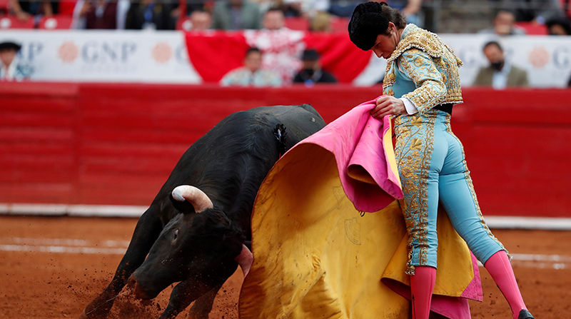 El torero mexicano Juan Pedro Llaguno lidia a su primer toro 'El 17' de 454 kg durante la tercera novillada de la temporada grande La Reapertura, el 5 de diciembre del 2021 en la Plaza de Toros México en Ciudad de México. Foto: EFE