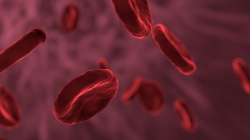 Imagen referencial. Los científicos examinaron la reacción de una proteína de la sangre y un componente clave de la vacuna. Foto: Pixabay