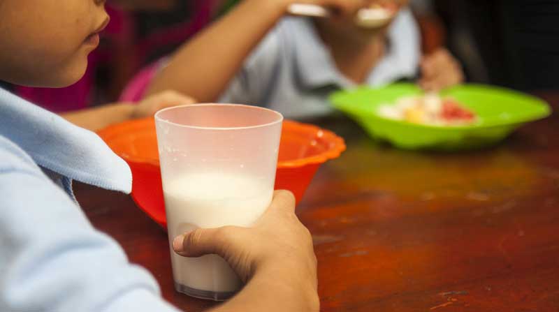 Ecuador es uno de los países con las más altas cifras de desnutrición crónica infantil en la región. Foto: Archivo / EL COMERCIO