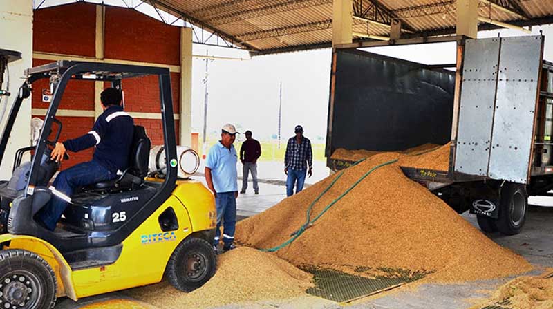 El equipamiento para el almacenamiento de las gramíneas debe ser transferido al Ministerio de Agricultura. Foto: Cortesía MAG