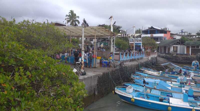 Los habitantes de Galápagos se dedican, en su mayoría, a la atención a los turistas, una actividad que todavía no se recupera de los estragos de la pandemia. Foto: EL COMERCIO