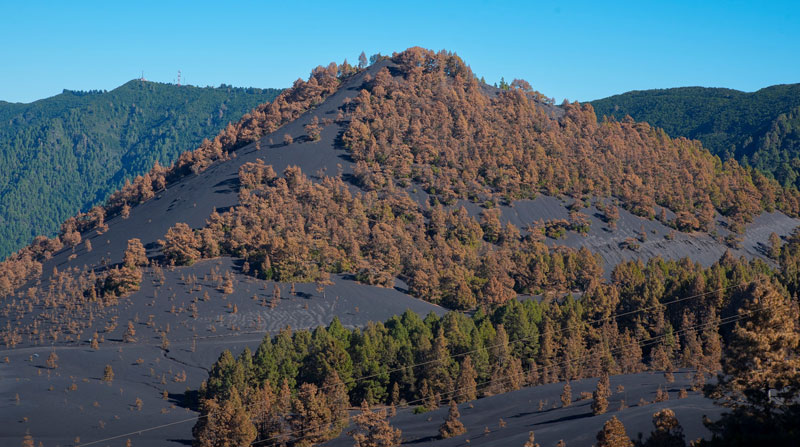 Los investigadores realizaron estudios sobre los riesgos que podría generar la lluvia y la ceniza en los poblados cercanos a la zona en donde el volcán La Palma erupcionó. Foto: EFE