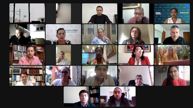 A la sesión que se dio en modalidad virtual comparecieron investigadores, médicos, psiquiatras, abogados y activistas. Foto: Flickr / Asamblea Nacional del Ecuador