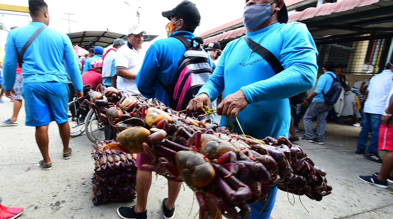 El Mercado de la Caraguay, en el sur de Guayaquil, es el mayor centro de distribución del crustáceo en la ciudad. Los crustáceos rojos llegan vía fluvial desde el Golfo de Guayaquil. Foto: Archivo / EL COMERCIO