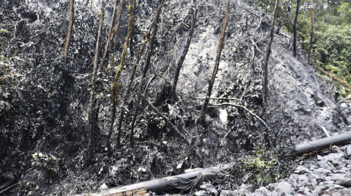 El derrame de petróleo afectó la zona de protección del Parque Nacional Cayambe Coca. Foto: EFE / Ministerio del Ambiente