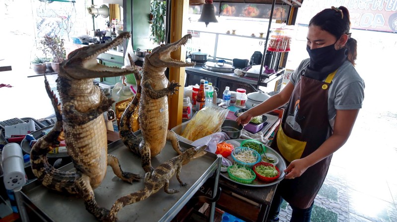 Venta de carne de cocodrilo en Tailandia. Foto; EFE/ Diego Azubel / Photo Set
