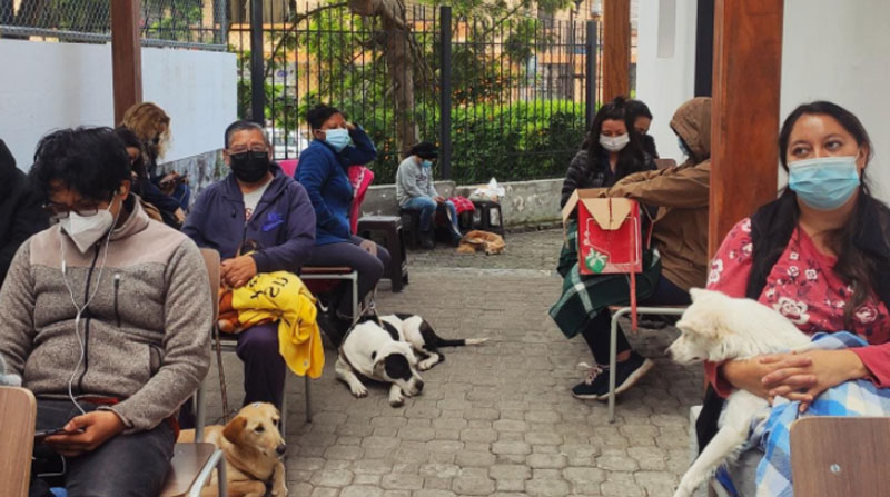 Para acudir a los centros de vacunación, los dueños deben llevar a sus mascotas con correa y con una cobija. Foto: Ivonne Mantilla/EL COMERCIO