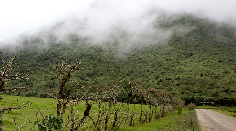 En Pichincha una de las áreas protegidas es la Reserva Pululahua. Foto: Archivo / EL COMERCIO