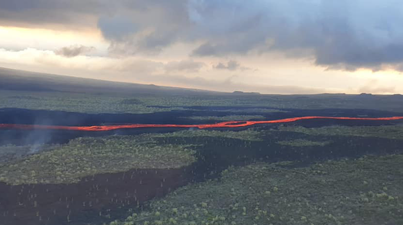 La erupción del volcán no representa una amenaza para la fauna nativa, según aseguró el Ministerio de Ambiente. Foto: Parque Nacional Galápagos.