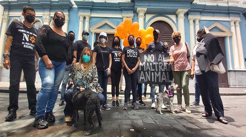 Los activistas llegaron con pancartas y mensajes contra el maltrato animal. FOTO: Juan Carlos Holguín