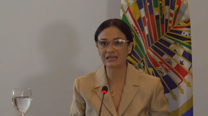 La representante de la OEA en Ecuador dio a conocer al Consejo Permanente el informe final de la Misión electoral en Ecuador sobre las elecciones presidenciales del 2021. Foto: Captura de pantalla