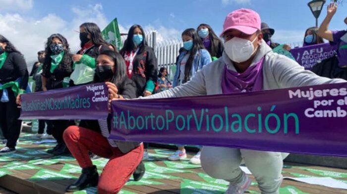 La Asamblea redujo plazos y aprobó el proyecto de ley del aborto por violación. Foto: EL COMERCIO