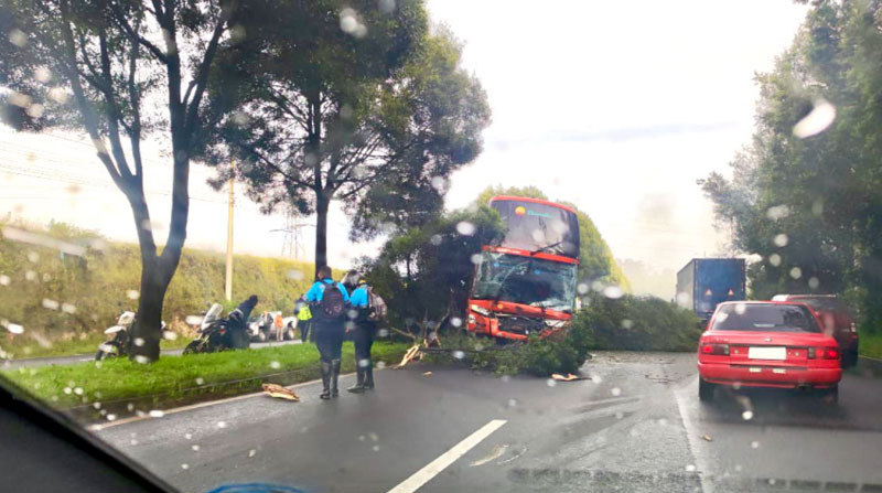 El bus de dos pisos chocó contra los árboles del parterre, luego de perder pista, informaron los Bomberos. Foto: Twitter Bomberos Quito