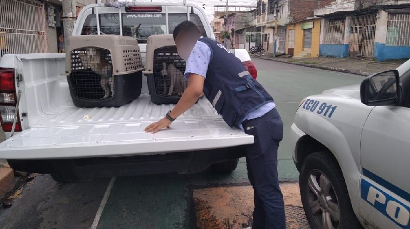 El acto se viralizó en redes y obligó el accionar de la Policía Nacional, que no encontró al agresor en el lugar. Foto: Alcaldía de Guayaquil