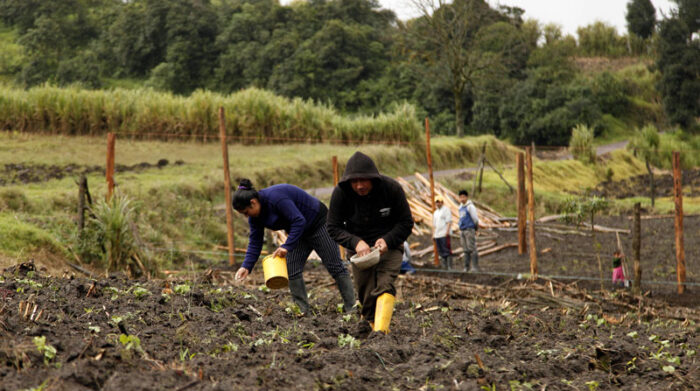 Ecuador y Estados Unidos revisarán asuntos agrícolas en las mesas de trabajo. Foto: Archivo / EL COMERCIO