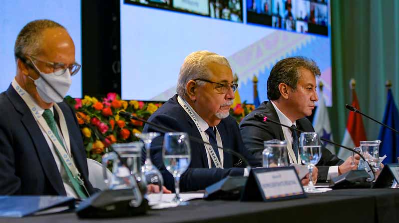 Ecuador preside la Conferencia de la FAO donde se propuso abordar el tema de los precios de alimentos e insumos agrícolas. Flickr FAO.