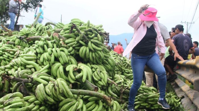 Los productores bananeros bloquearon el paso en el puente sobre el río Cañar, en la vía Puerto Inca-Guayaquil. Foto: Cortesía