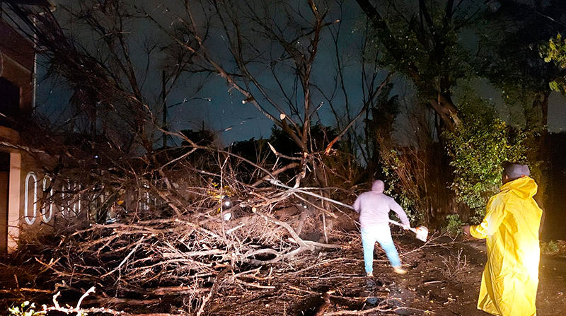 Cuadrillas de la Dirección municipal de Áreas Verdes atendieron la caída de árboles en el Puerto Principal. Foto: Municipio de Guayaquil
