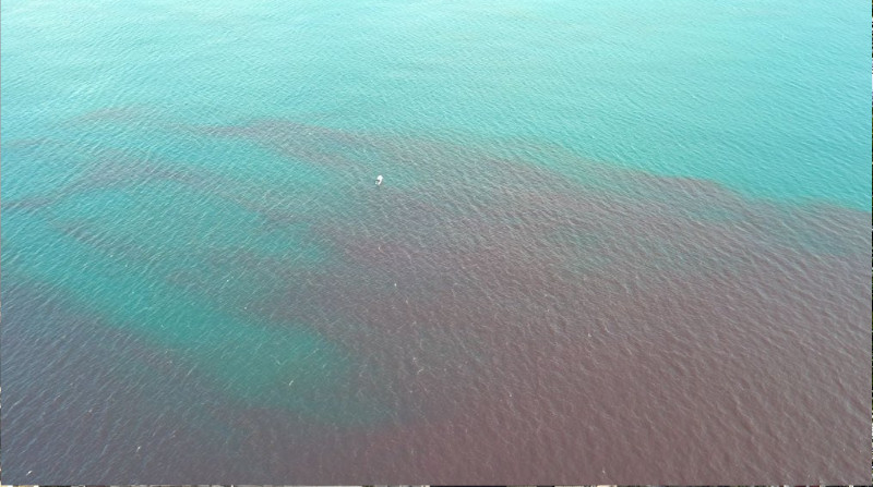 La mancha de gran magnitud se encuentra a unos 2 kilómetros del perfil costero de Manta. Foto: Alcaldía de Manta