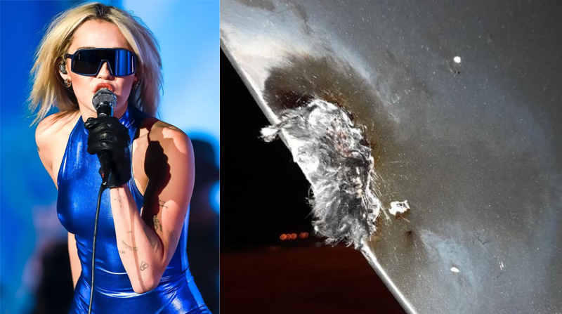 Miley Cyrus aterriza de emergencia después de que un rayo impactara su avión. Foto: Instagram mileycyrus