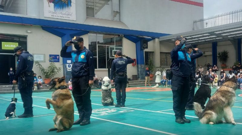 Los perritos realizaron seis años de trabajo en apoyo a la comunidad de Quito. Foto: Twitter @agentesdequito