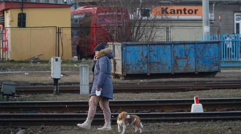Una mujer pasea a su mascota en Varsovia (Polonia). Foto: EFE