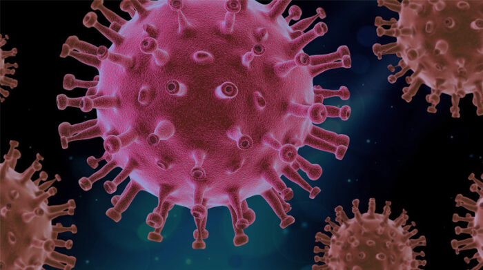 Covid persistente puede mantenerse por un sistema inmune poco activo. Foto: Pixabay