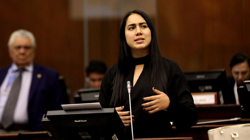 La asambleísta Johanna Moreira dijo que insistirán por hacer cambios al proyecto de Ley de aborto por violación. Foto: Flickr Asamblea Nacional