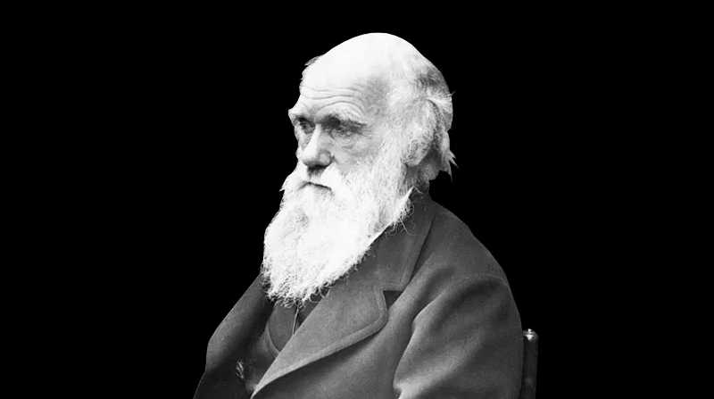 Británico Charles Darwin (1809-1882), creador de la teoría de la evolución natural. Foto: Redes Sociales