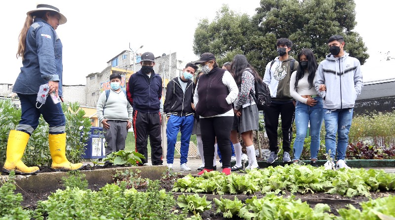 EMGIRS realiza cpaacitaciones a estudiantes y la comunidad sobre huertos organicos y soberania alimentaria. Foto: Diego Pallero / EL COMERCIO.