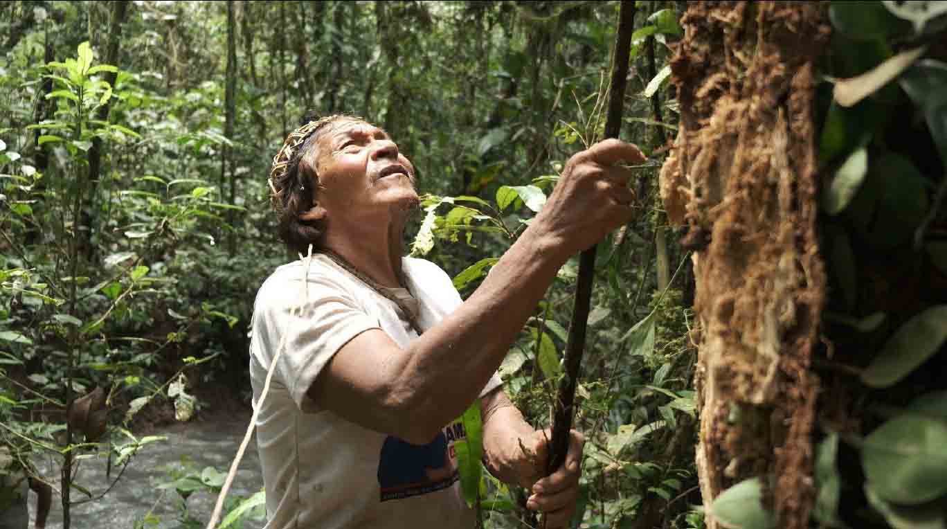 Pikenani Nange Yeti Nimonca (1955-2021) durante uno de sus patrullajes por la selva amazónica. Foto cortesía: Alexis Pintado/Amazon Frontlines