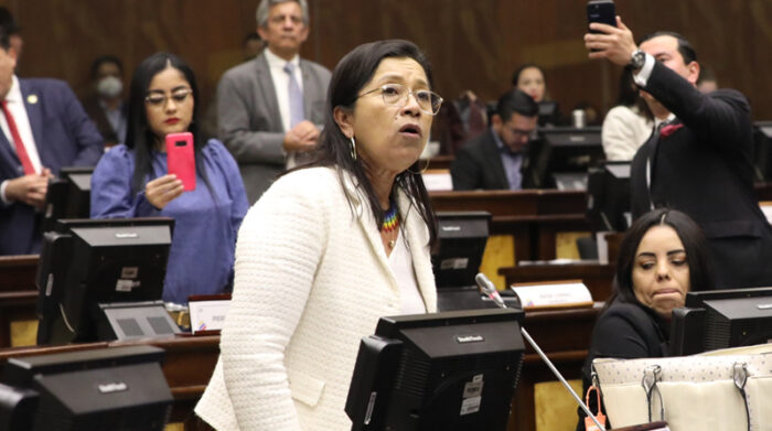 Guadalupe Llori, desde su curul de asambleísta, en la sesión que tuvo lugar el martes en el Palacio Legislativo. Foto: Cortesía Asamblea Nacional