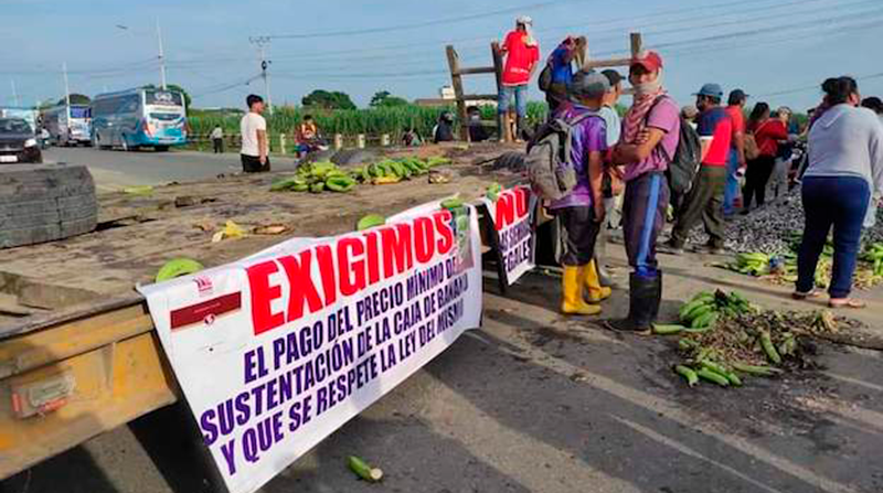 Los productores de banano declararon el paro indefinido en El Oro, Guayas y Los Ríos. Foto: Cortesía