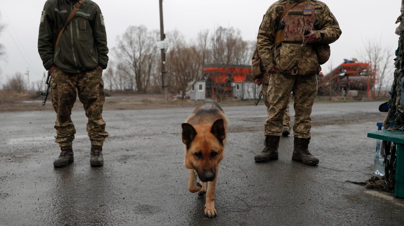 Imagen de soldados con un perro en Ucrania. Foto: EFE