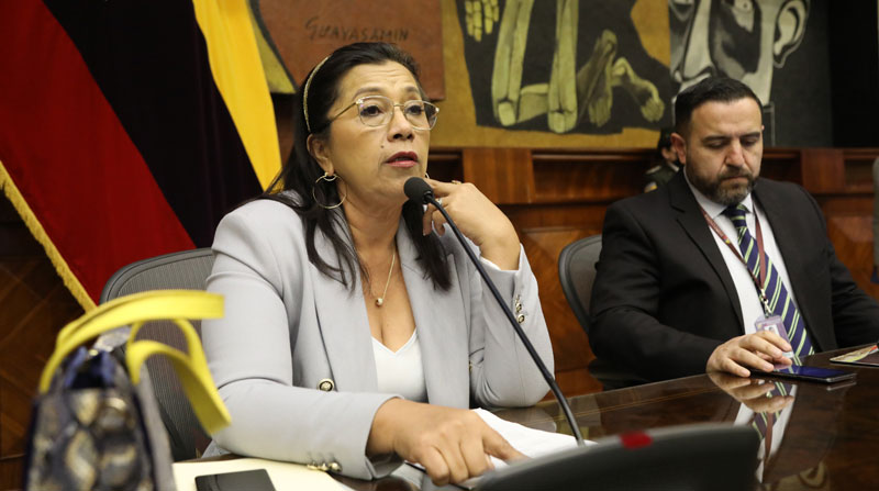 Guadalupe Llori debe decidir si se presenta en la comisión que la evalúa en la Asamblea. Foto: Flickr Asamblea Nacional