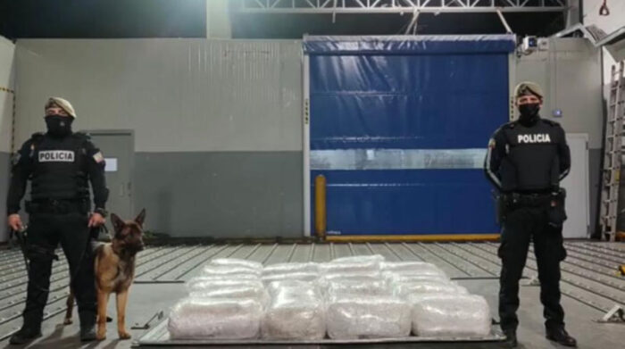 La Policía se decomisó casi una tonelada de droga en el Aeropuerto de Quito. Foto: Cortesía Policía