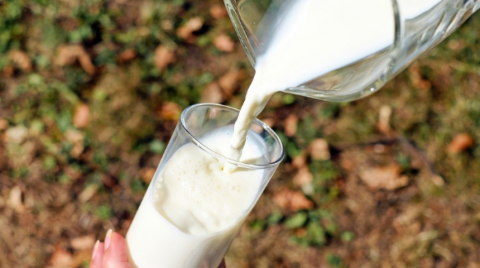 El estudio revela que el consumo diario de leche en población adulta no aporta en su nutrición. Foto: Pixabay.