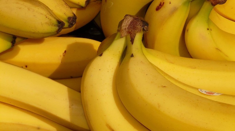 Empresas exportadoras de banano de Ecuador son denunciadas por productores ante el Ministerio de Agricultura y Ganadería. Foto: Pixabay