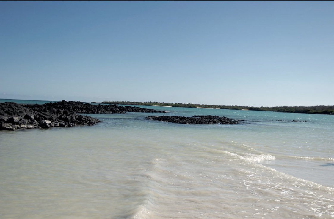Nuevo proyecto para conservar y proteger las Islas Galápagos. Foto: Cortesía