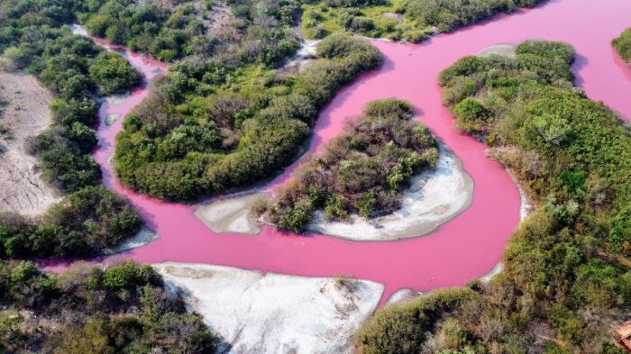 Una coloración rosa tiñe la laguna La Salina en México. Foto: Redes sociales