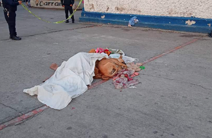 Perro acompañó el cadáver de su dueño en la explanada del Metro Candelaria, en México. Foto: Redes sociales