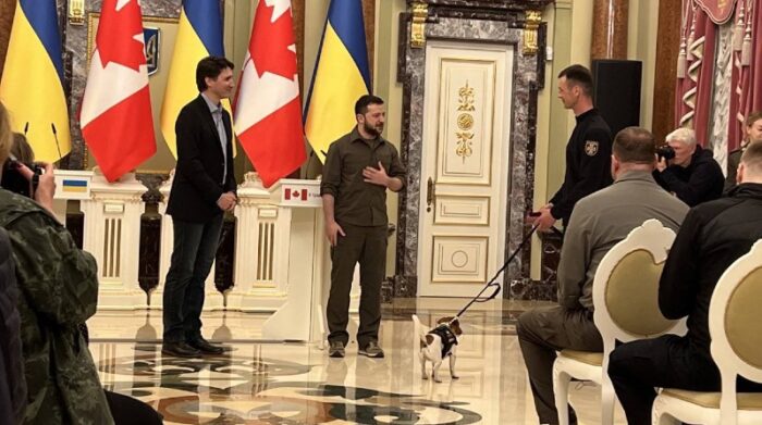 Patron es el perrito ucraniano que detecta explosivos y ha servido durante la invasión rusa. Foto: Twitter Mattia Nelles
