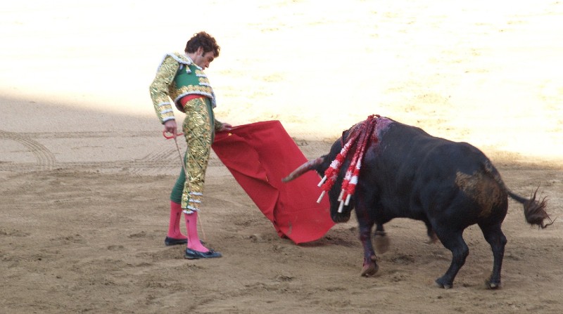 El juez federal Jonathan Bass Herrera decidió suspender provisionalmente las corridas de toros en la Plaza México en Ciudad México. Foto: Pixabay