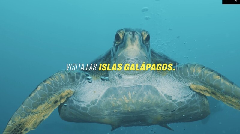 La campaña 'Breathe Again - Vuelve a Respirar’, que promociona el turismo en Galápagos, fue galardonada en los LatAm Travel Video Awards (TVA) 2022. Foto: Captura de video