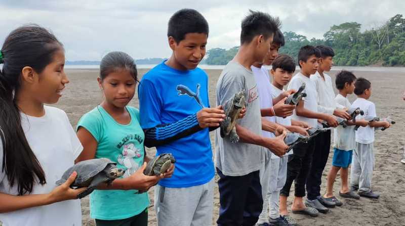 La liberación de las especies se realizó con la ayuda de la comunidad en la provincia de Orellana. Foto: Ministerio del Ambiente