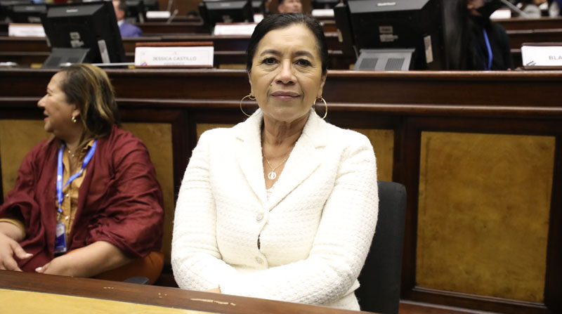 Un Juez solicitó un informe a la Defensoría del Pueblo sobre las disposiciones legales emitidas a favor de Guadalupe Llori. Foto: Flickr Asamblea Nacional