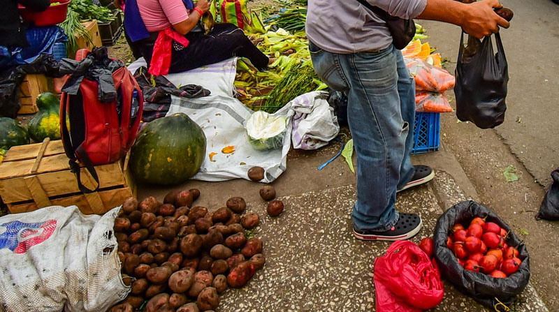 En los mercados municipales de Guayaquil se plantean opciones ante aumento y escasez de productos. Foto: Archivo/ EL COMERCIO